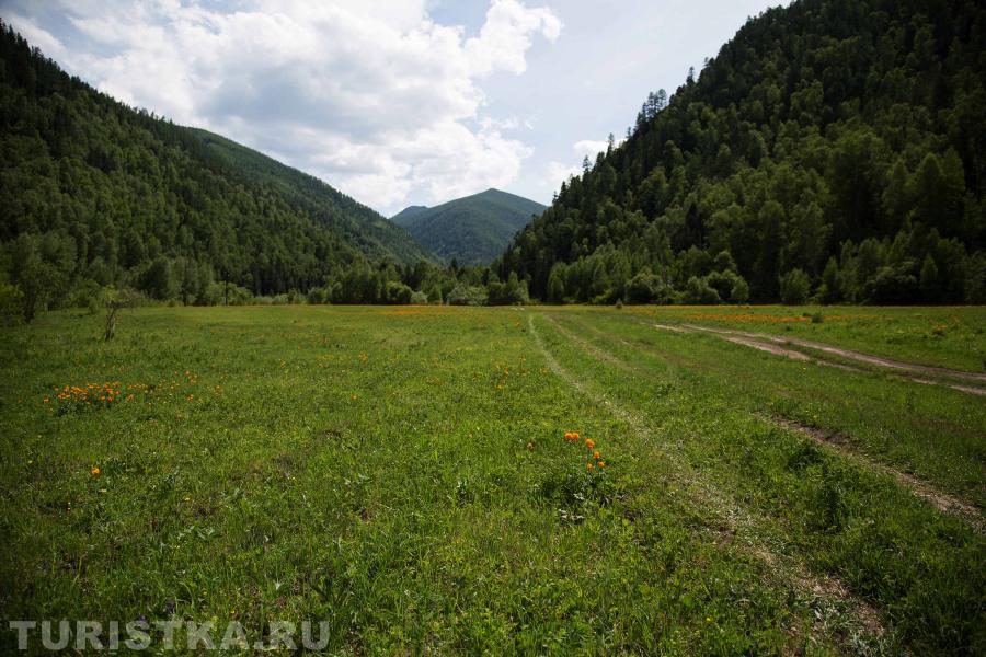 Дорога  на первом этапе проходит среди зеленых лугов и полей.  