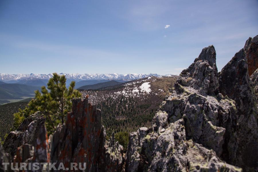площадка с панорамным видом