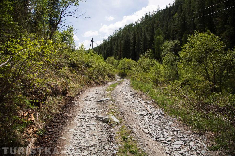 Дорога поднимается в ущелье