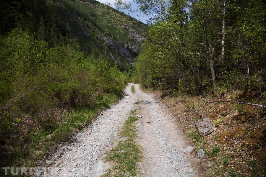 Дорога поднимается в ущелье.