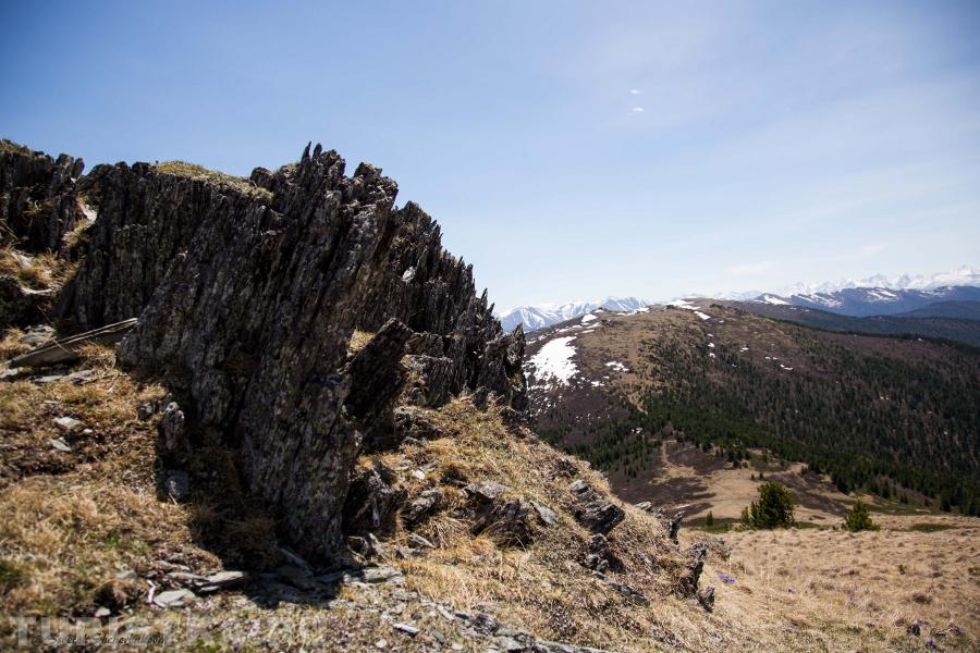 Смотровая площадка на Белуху