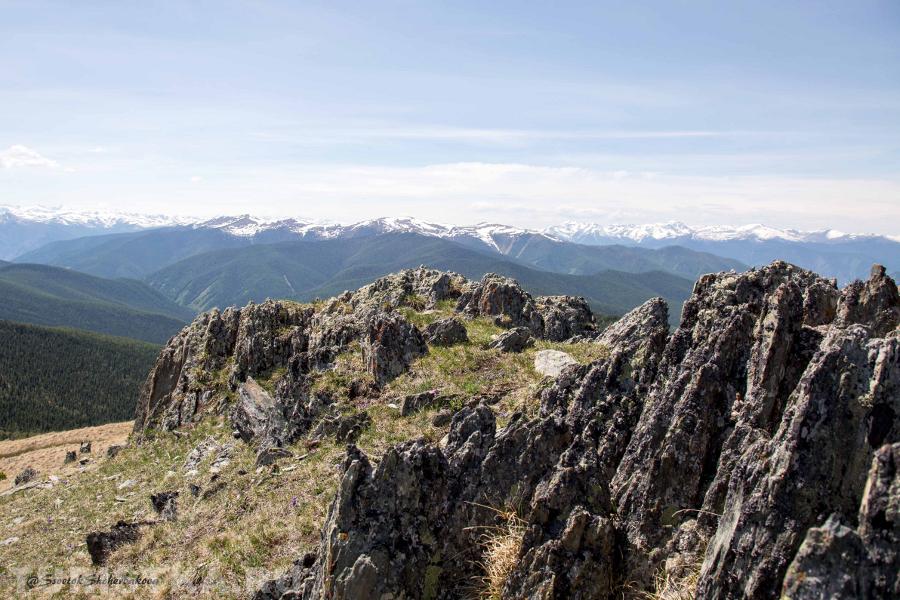 Смотровая площадка на Белуху