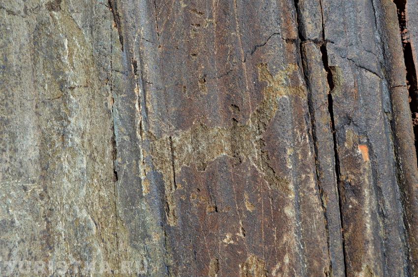 Петроглифы на скале