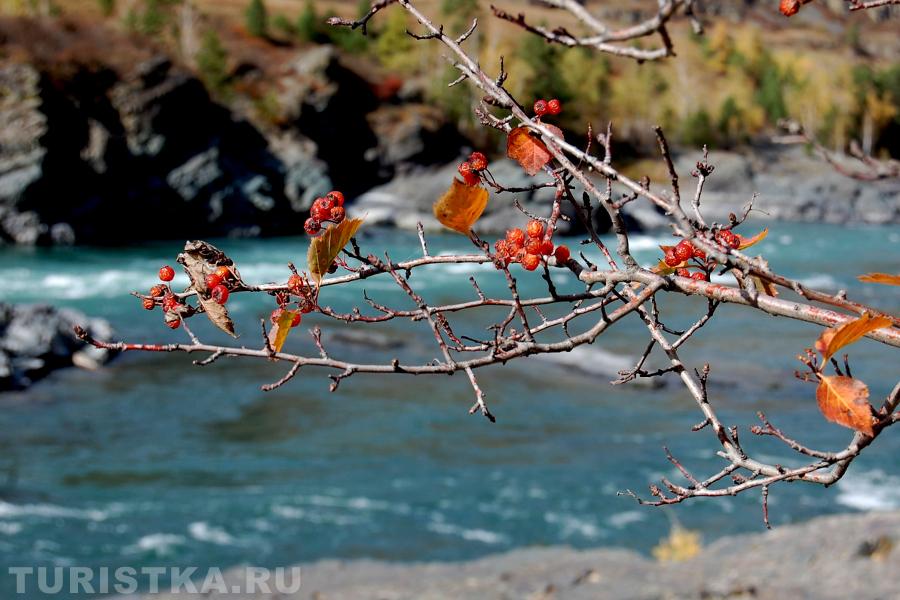 2. Еландинский порог на Катуни. Сентябрь 2018 г.