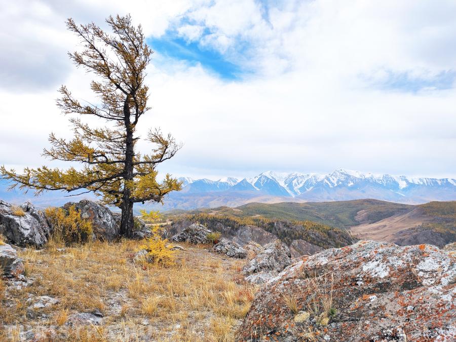 Афонина Ольга. Северо-Чуйский хребет