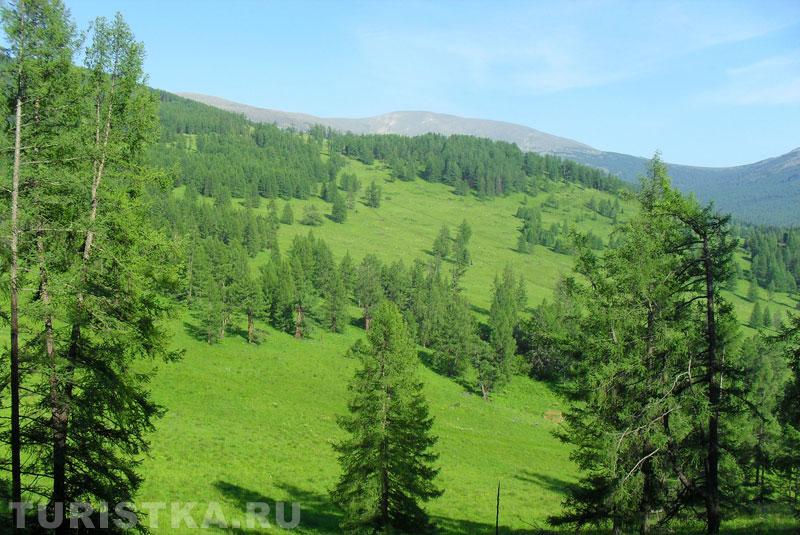 Окрестности Alan-Koo