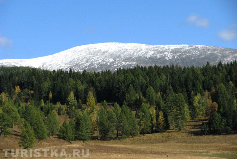 Окрестности Alan-Koo