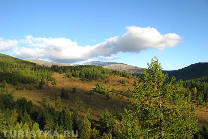 Окрестности Alan-Koo