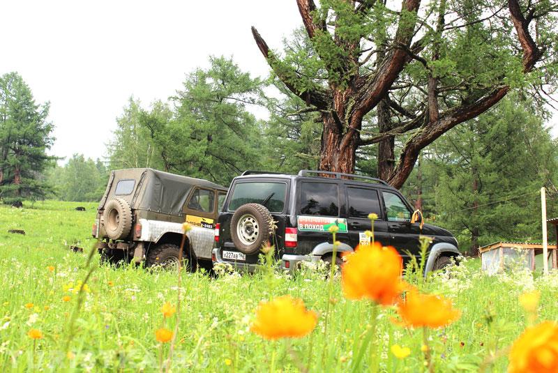 Рабочие "лошадки"