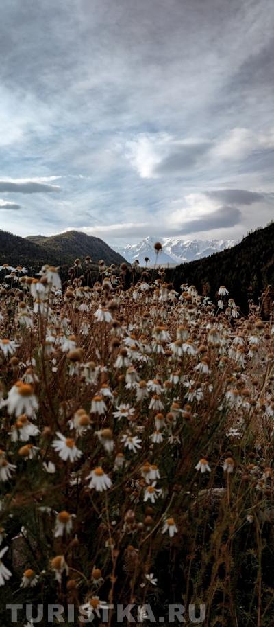 Вершина Северо - Чуйского хребта «Куркурек»