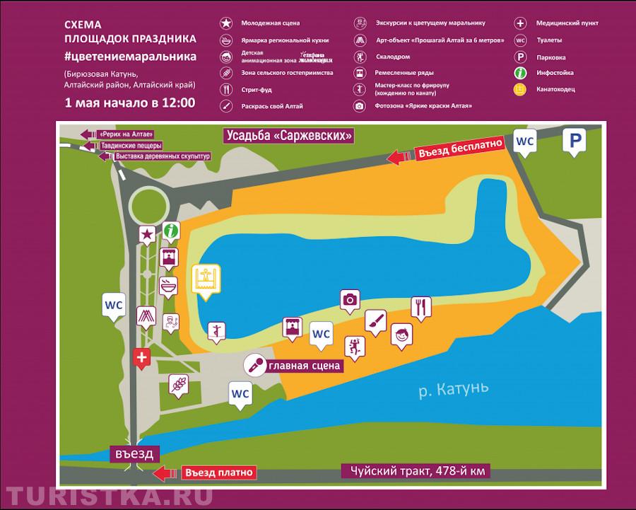 Алтай в мае 2023 Цветение маральника 