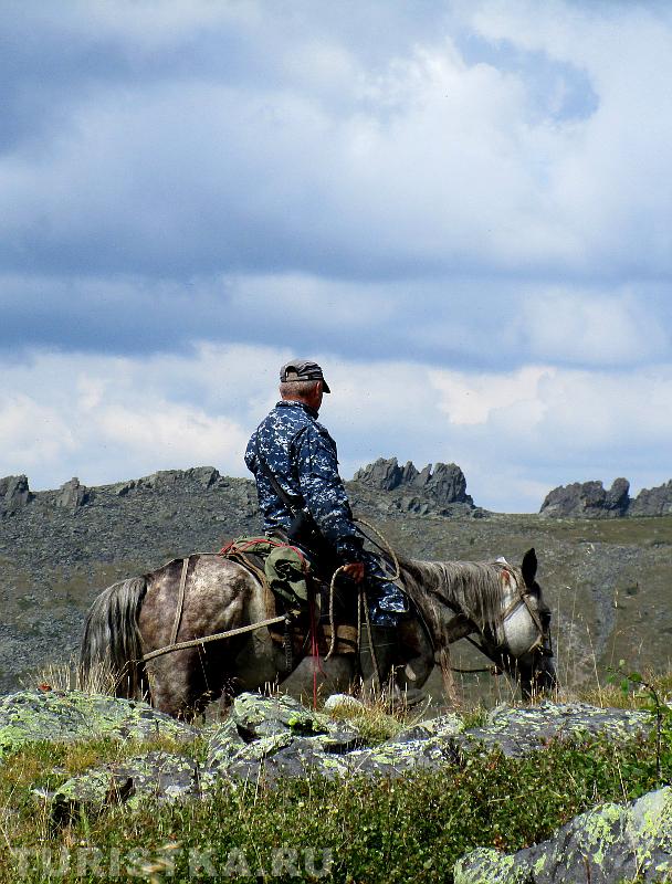 Новый алтайский «богатырь» в отрогах Катунского хребта