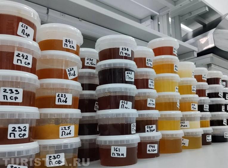 Апифорум Алтай - 2025