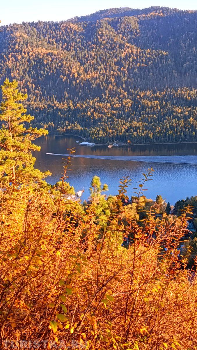 Алтай. Озеро Телецкое, 26.09.2025  Автор: Ольга Марай. 6.09.2025 
