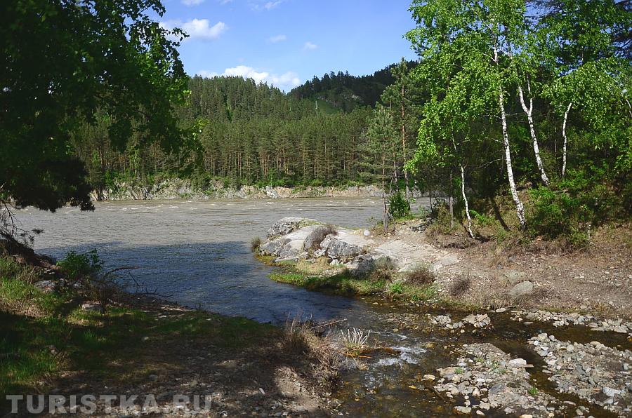 Аскатка впадает в Катунь
