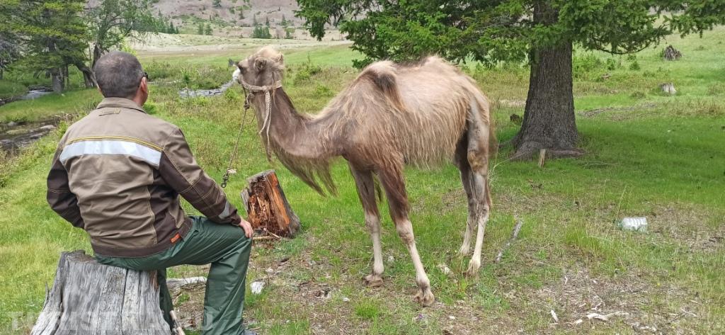 И чо это я Вас такой влюблённый?)))