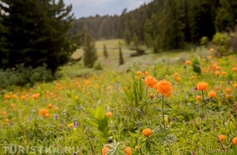 Огоньки у пятого Каракольского озера. 