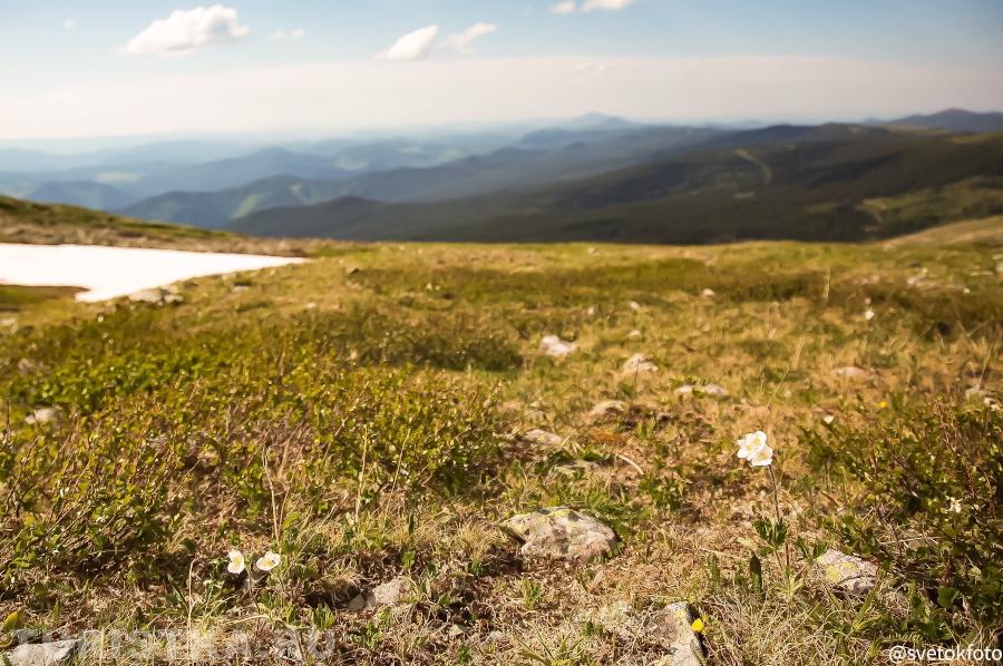 виды с тропы.