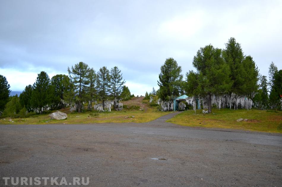 Беседка на Улаганском перевале. Алтай.