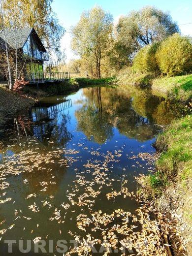 Алтай. Полеводка.