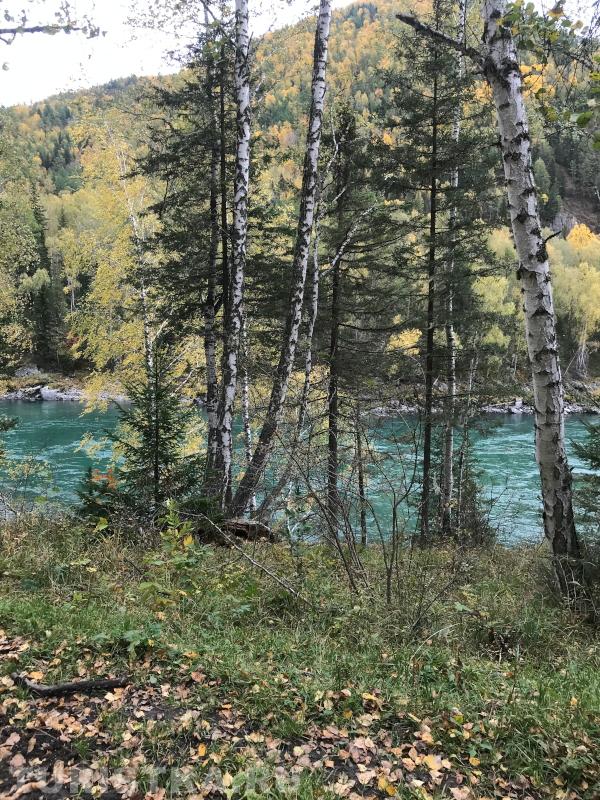 Березина Светлана. Река Катунь за Тюнгуром.