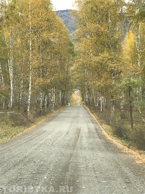 Березина Светлана. Дорога близ села Катанда.