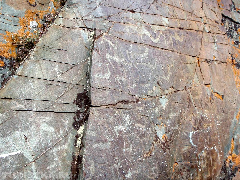 Бертекская писаница