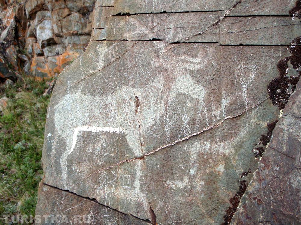 Бертекская писаница