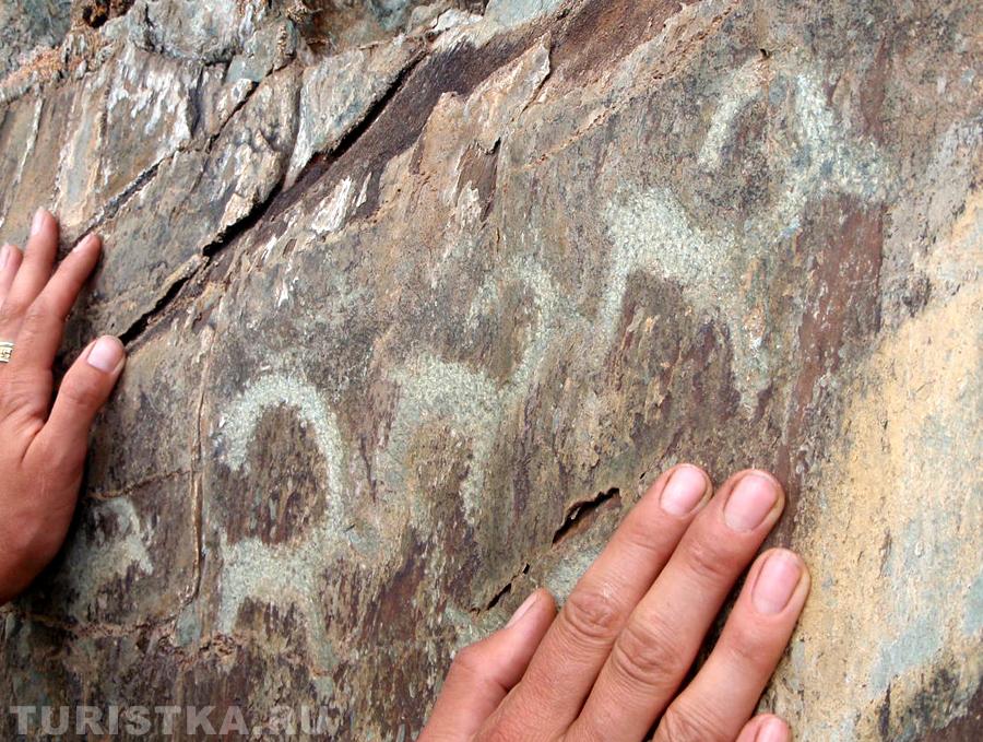 Масштаб изображений