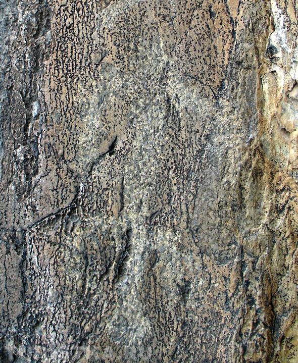 Петроглифы : Антропоморфная фигура с "хвостом"