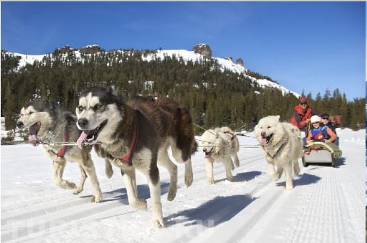 Туры на Алтай из Новосибирска
