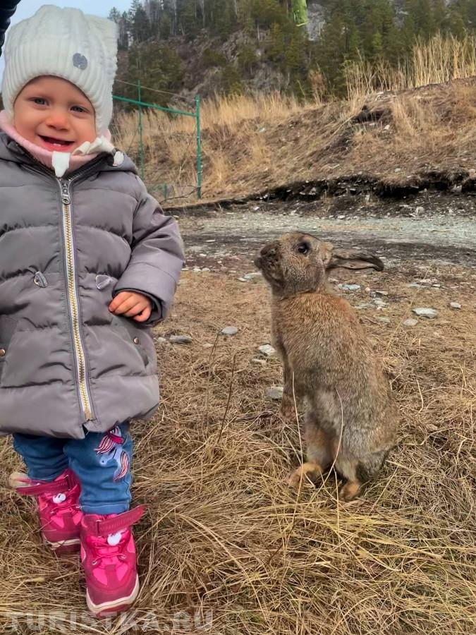 1. "Когда вживую увидела год Зайца. Хорошо, что заяц, а не белочка.."<br> С. Узнезя "Лохматая ферма".