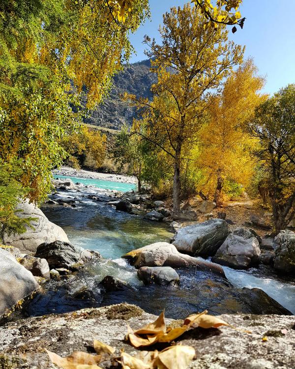 Слияние рек б.Ильгумень и Катунь