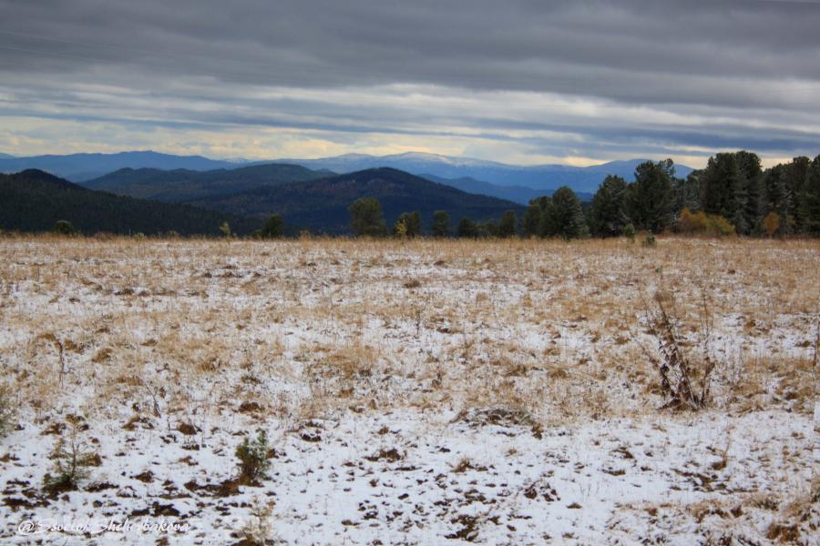Сентябрьский снег на Семинском перевале, Алтай.