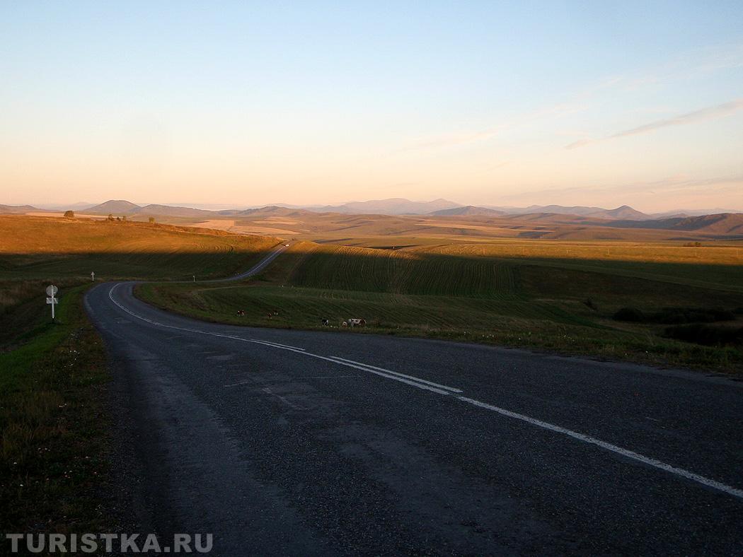 Дорога Алейск - Чарышское