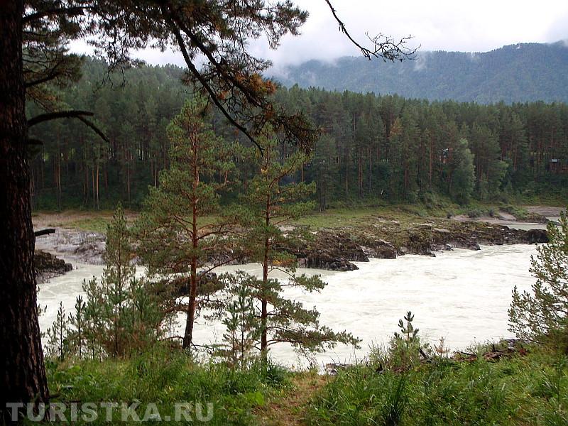 Катунь в Чемальской долине