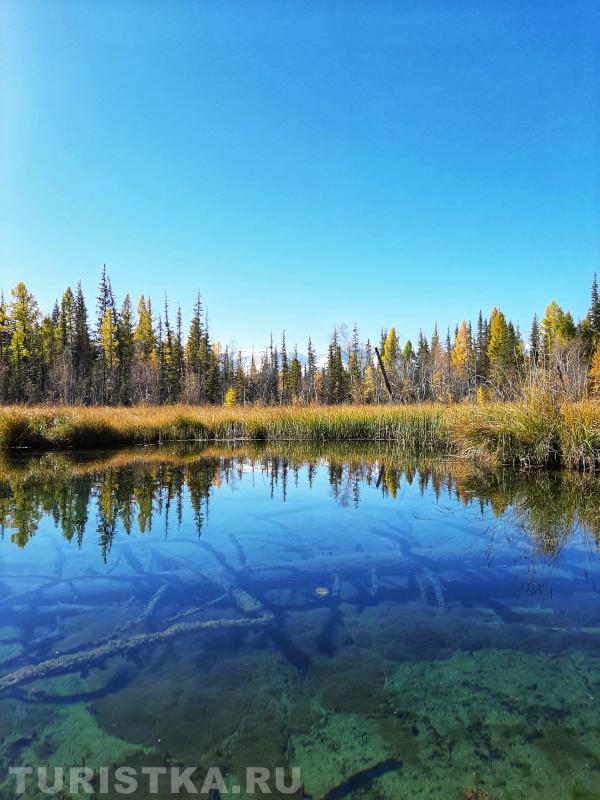 Курайская степь