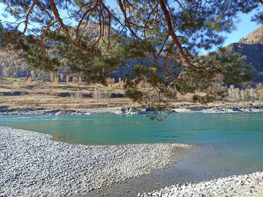 Чесноков Егор. Катунь между селами Еланда и Куюс. 