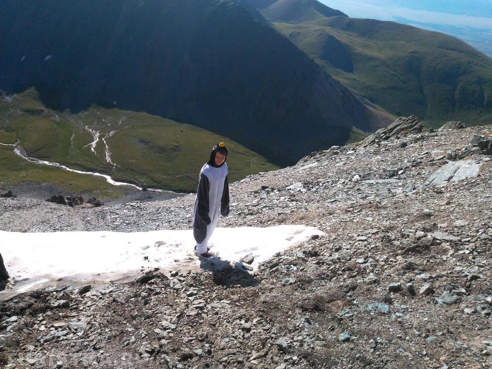 "Мистер Пингви на Акташском ретрансляторе снежочек родной нашел"