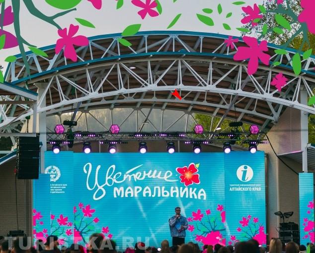 Фестиваль "Цветение маральника" на Бирюзовой Катуни