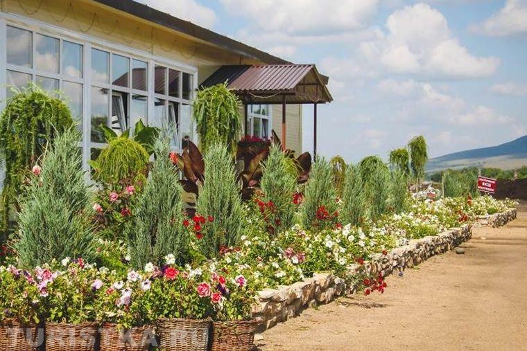 Фестиваль цветов