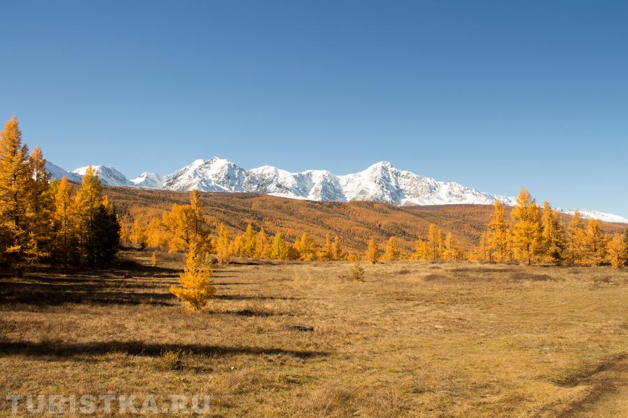 Курайская степь. 