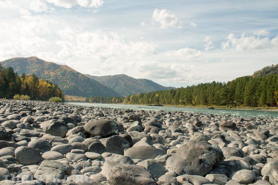 Дорога к Голубым озерам. Чемальский район.