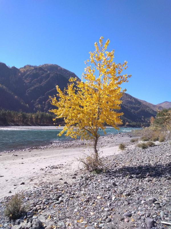 Катунь, село Еланда. 