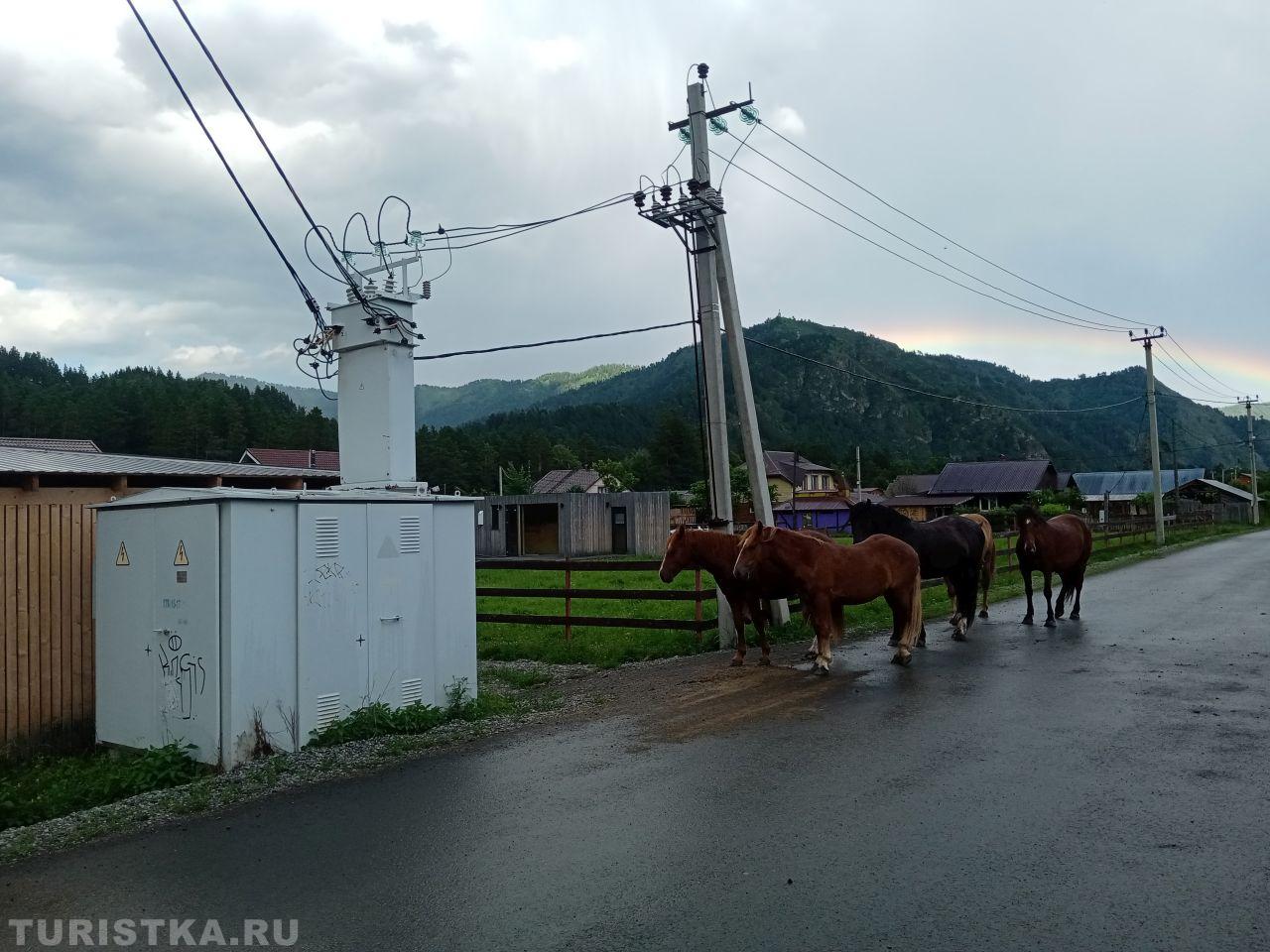 фото Демина Сергея Олеговича