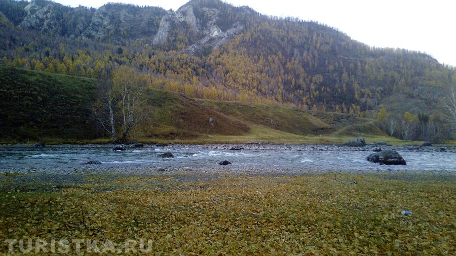 Недалеко от скалы "Белый Бом" Алтай.