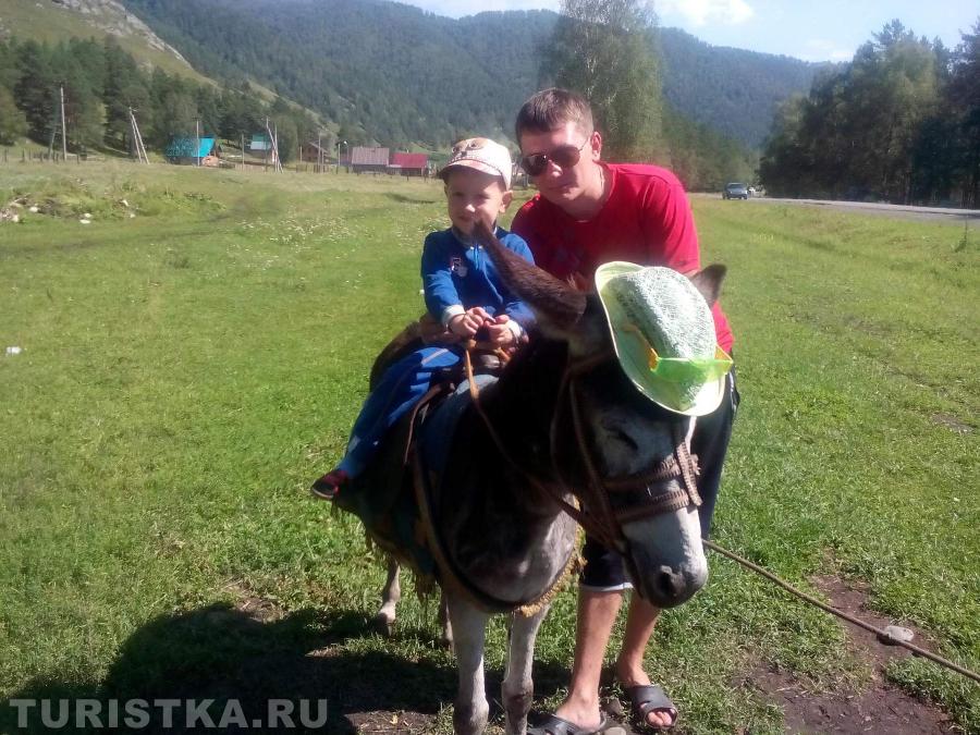 "Мой верный ,, конь,,!" 