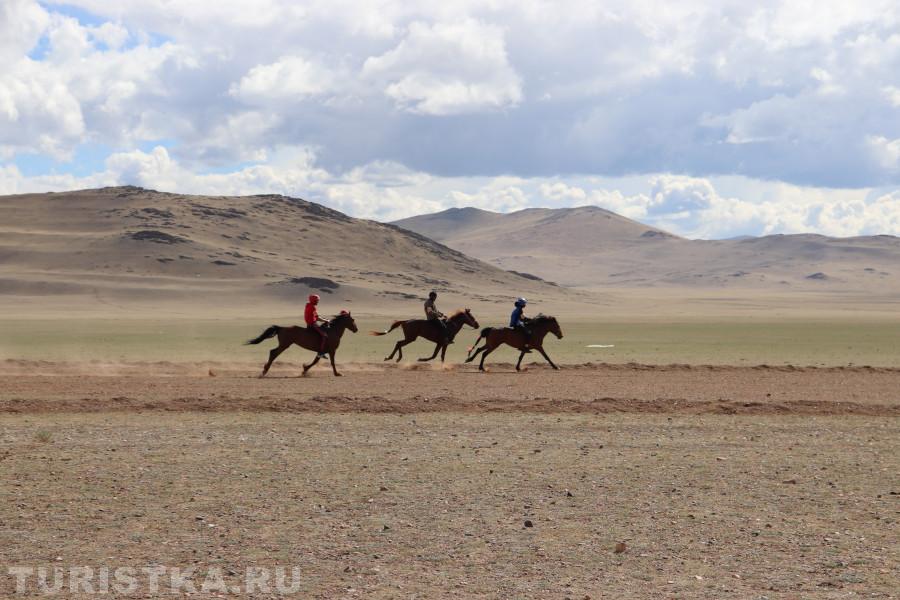 Конные состязания Кош-Агачский район