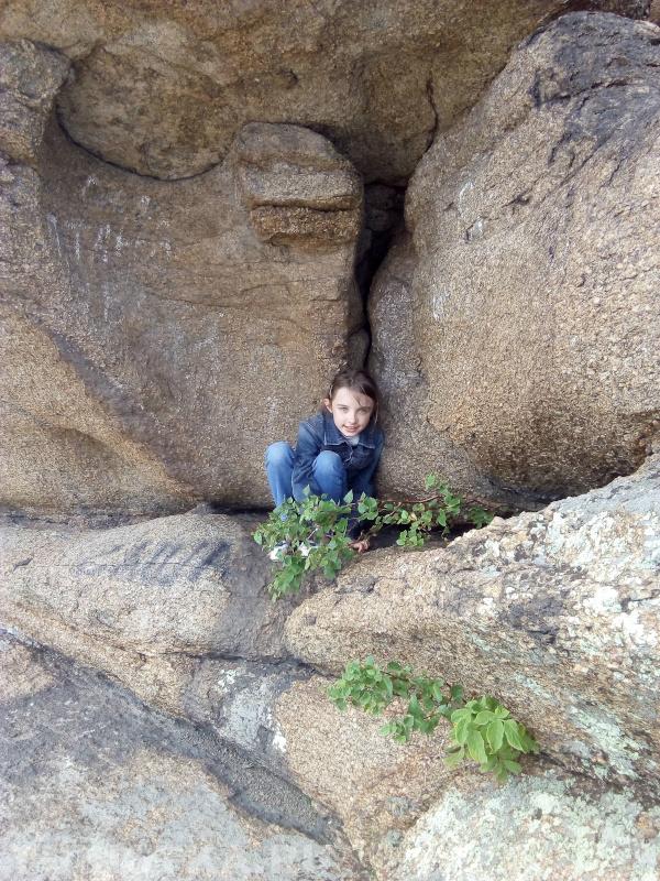 Фото на конкурс. Подпись: Я кустик, кустик, кустик Я вовсе не турист, Не знала я, что прутик, Так пчелок разозлит.