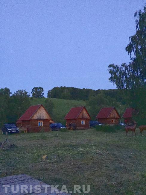 "Лесная сказка" домики без удобств : Алтайский край 